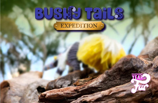 BUSHY TAILS EXPEDITION CAL: THE FIRST PATTERN!