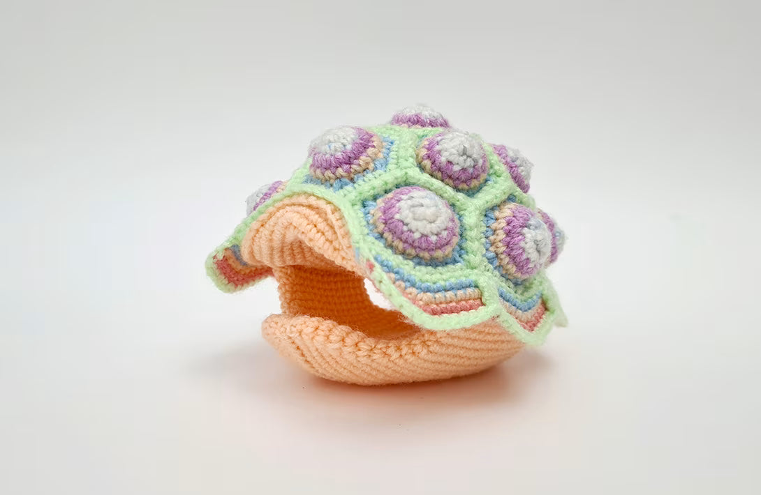 Astro the Tortoise | life-sized amigurumi pattern