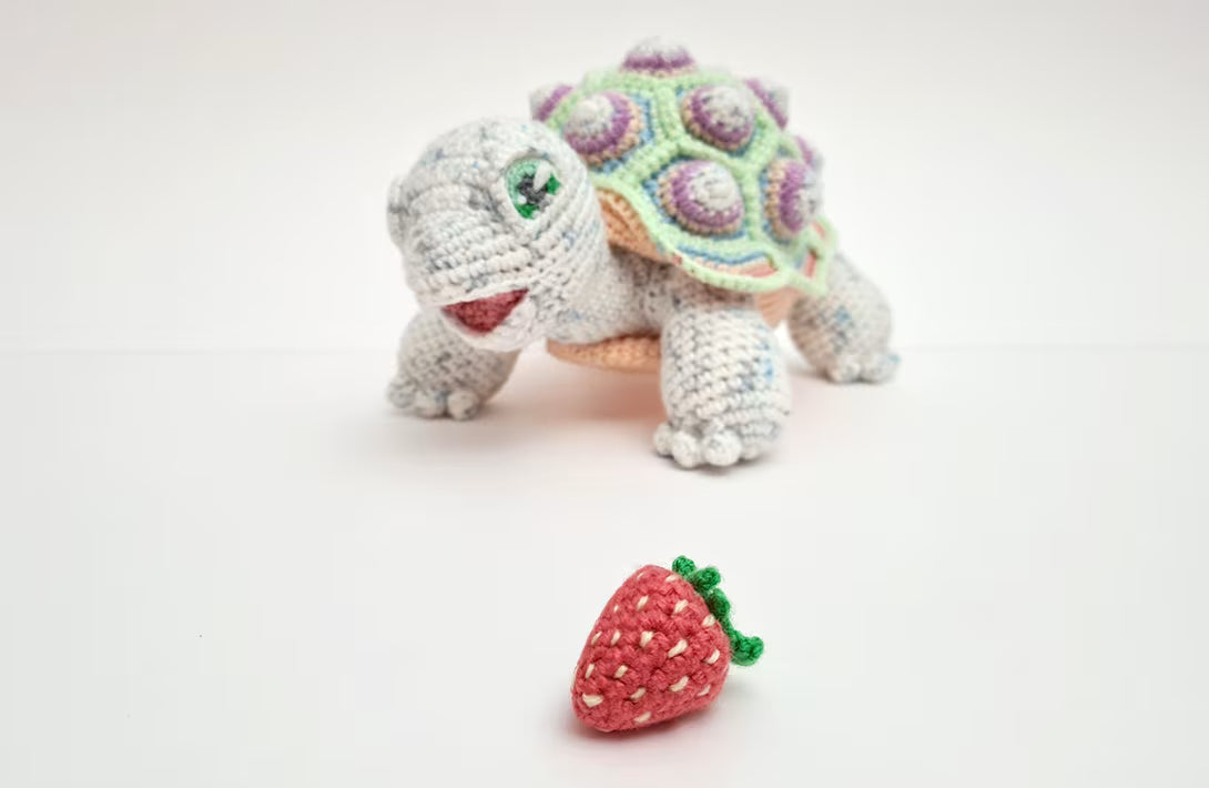 Astro the Tortoise | life-sized amigurumi pattern